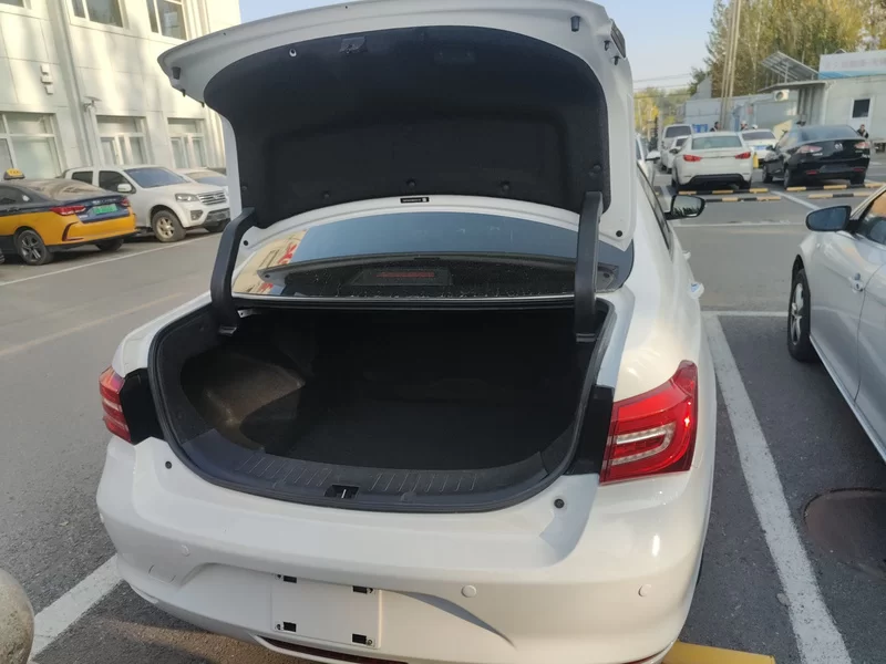 BYD Qin New Energy 2018 car image #10