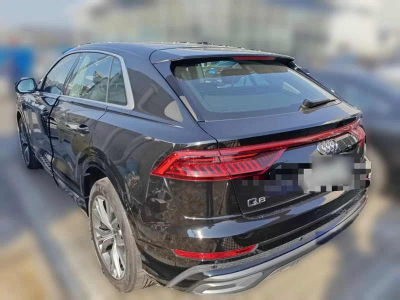 Audi RS Q8 2024 car image #10