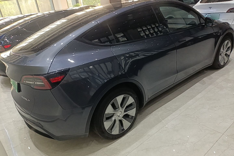 Tesla Model Y 2021 car image #7