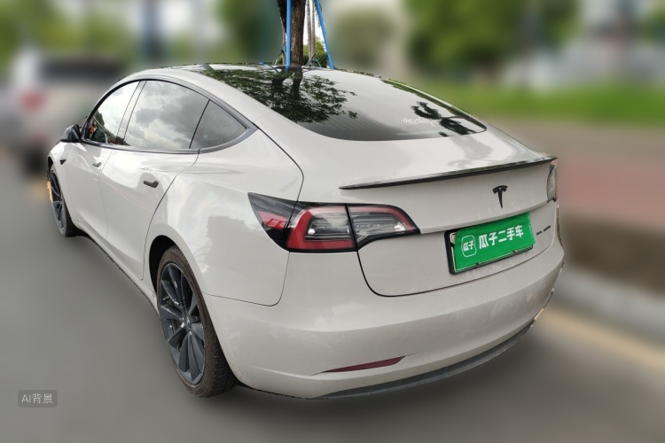 Tesla Model 3 2020 car image #5