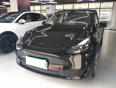 Tesla Model Y 2023 Tesla Model Y 2023 car image