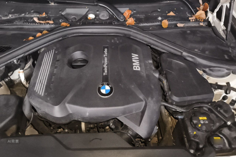 BMW 3 Series 2017 immagine di auto #22