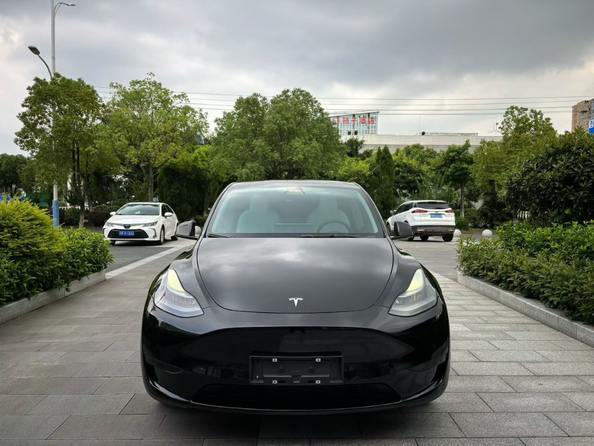 Tesla Model Y 2023 car image #2