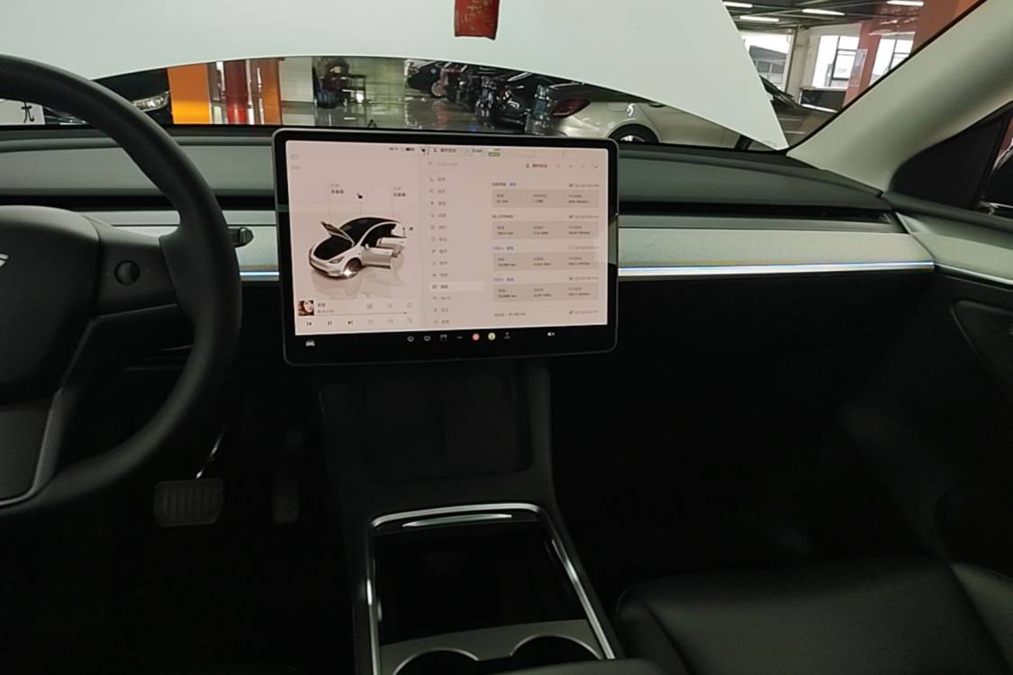 Tesla Model Y 2024 car image #15