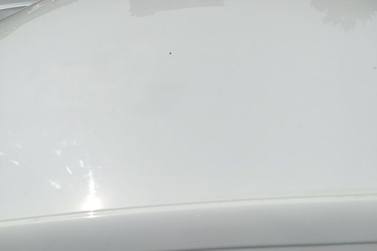 Volkswagen Bora 2024 #25 Volkswagen Bora 2024 car image #25
