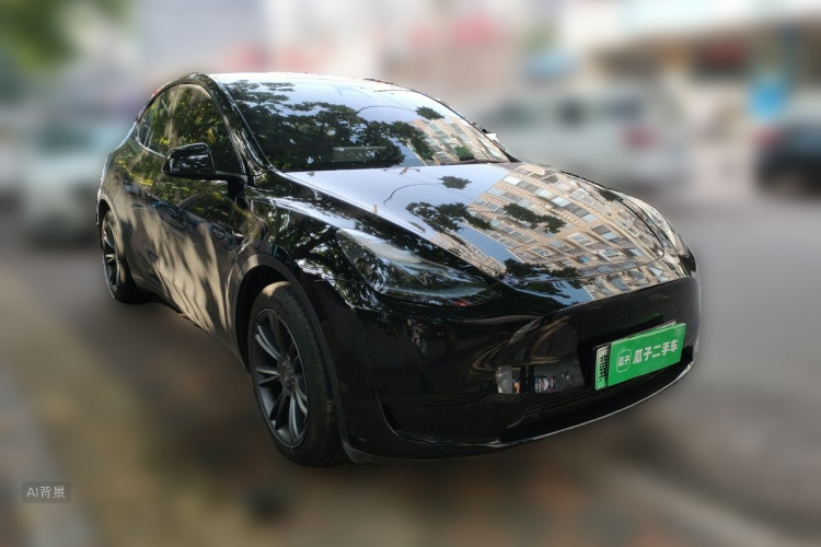 Tesla Model Y 2024 #4 Tesla Model Y 2024 صورة سيارة #4