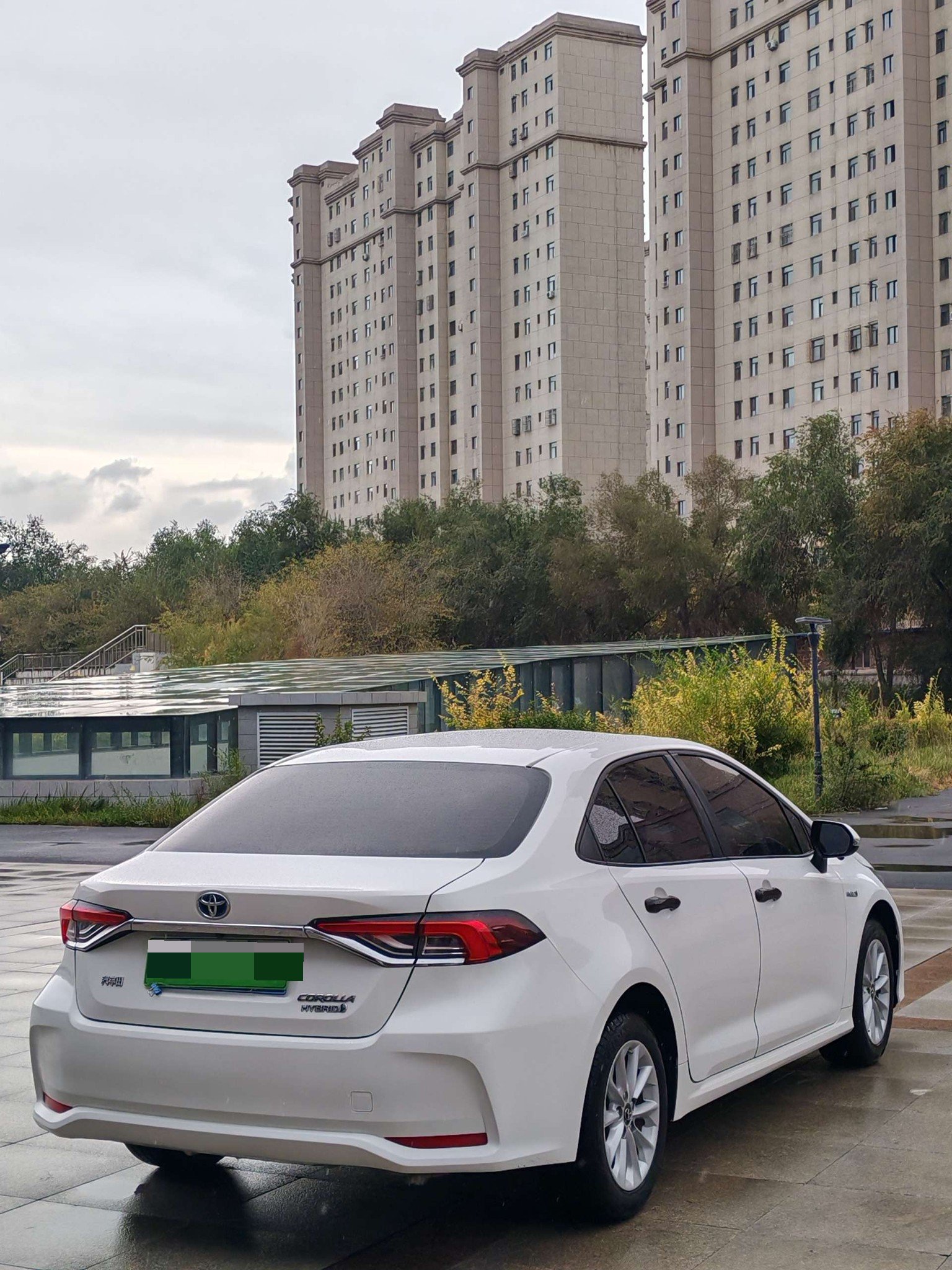 Toyota Corolla 2023 #7 Toyota Corolla 2023 car image #7