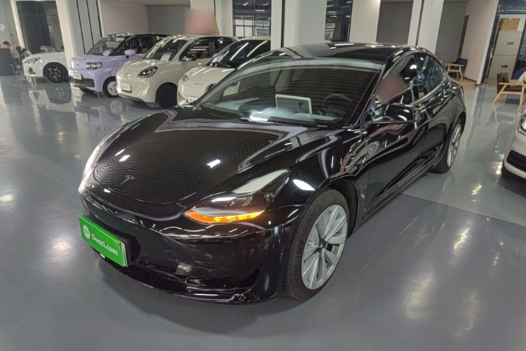 Tesla Model 3 2021 #2 Tesla Model 3 2021 car image #2