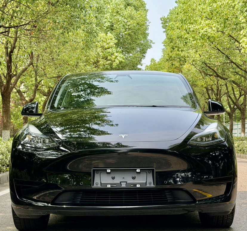 Tesla Model Y 2023 #2 Tesla Model Y 2023 car image #2