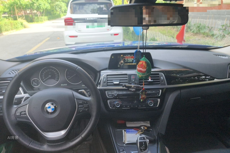BMW 3 Series 2017 car image #11