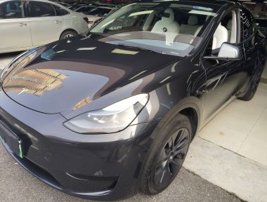 Tesla Model Y 2024 Tesla Model Y 2024 car image
