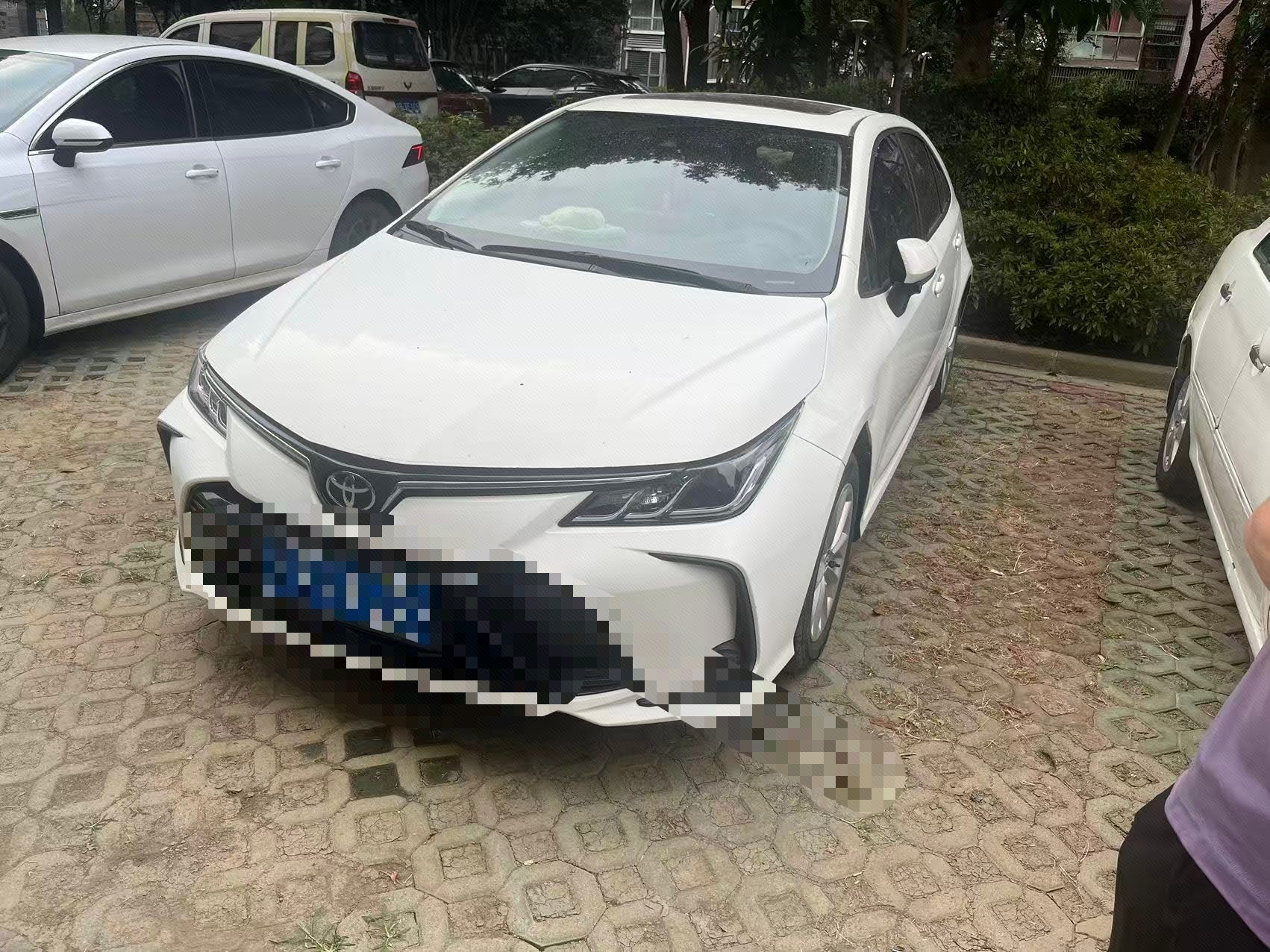 Toyota Corolla 2023 Toyota Corolla 2023 car image