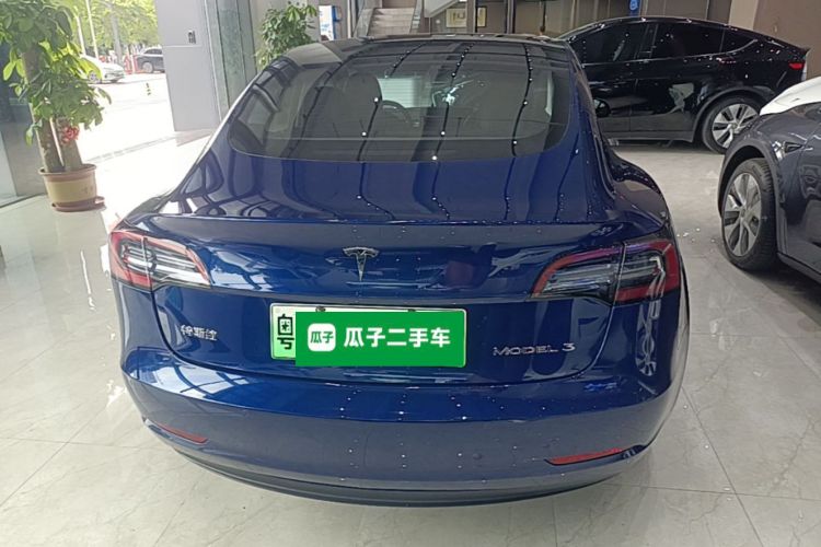 Tesla Model 3 2021 #6 Tesla Model 3 2021 car image #6