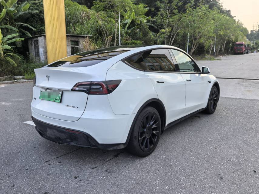 Tesla Model Y 2021 car image #3