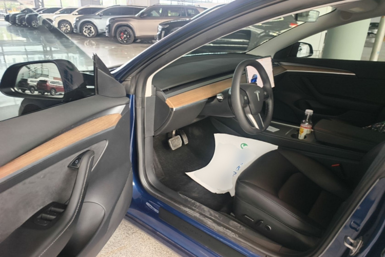 Tesla Model 3 2021 car image #16