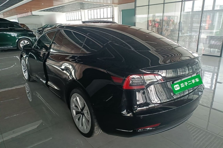 Tesla Model 3 2021 #5 Tesla Model 3 2021 car image #5