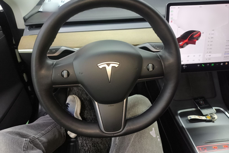 Tesla Model 3 2021 #15 Tesla Model 3 2021 car image #15