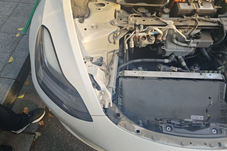 Tesla Model 3 2020 #25 Tesla Model 3 2020 car image #25
