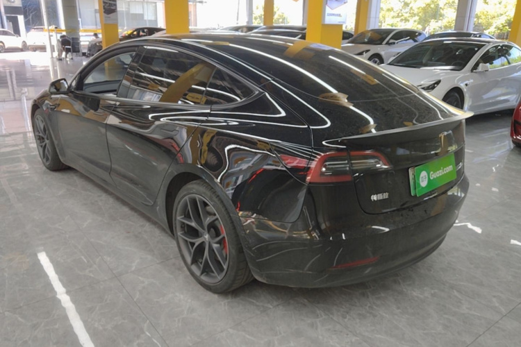 Tesla Model 3 2022 #5 Tesla Model 3 2022 car image #5