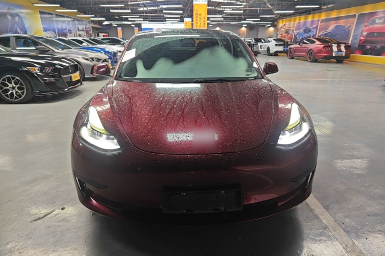 Tesla Model 3 2021 #3 Tesla Model 3 2021 car image #3