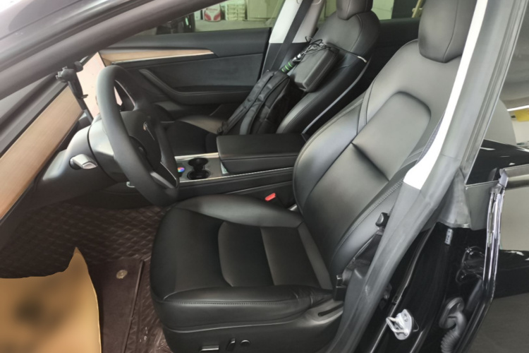 Tesla Model 3 2022 car image #15