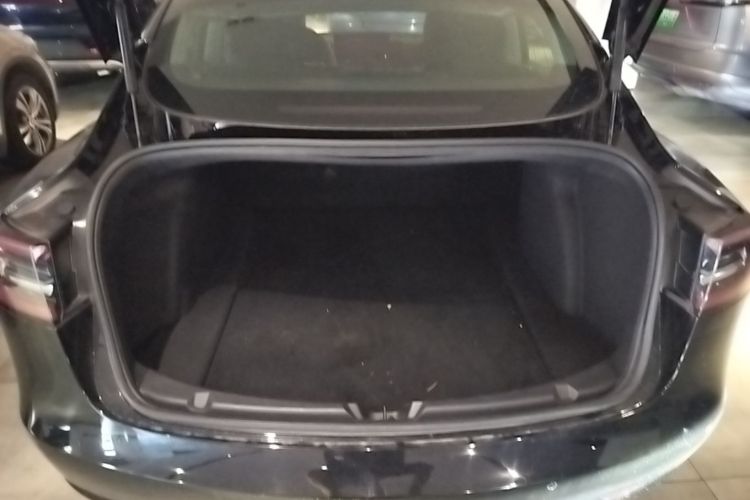 Tesla Model 3 2020 #19 Tesla Model 3 2020 car image #19