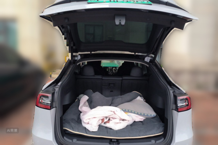 Tesla Model Y 2021 #21 Tesla Model Y 2021 immagine di auto #21