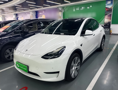 Tesla Model Y 2022 Tesla Model Y 2022 car image