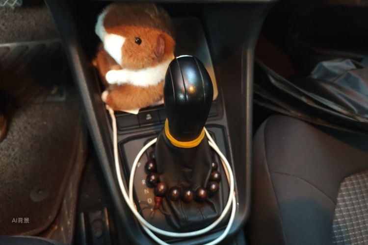 Volkswagen Santana 2019 car image #16