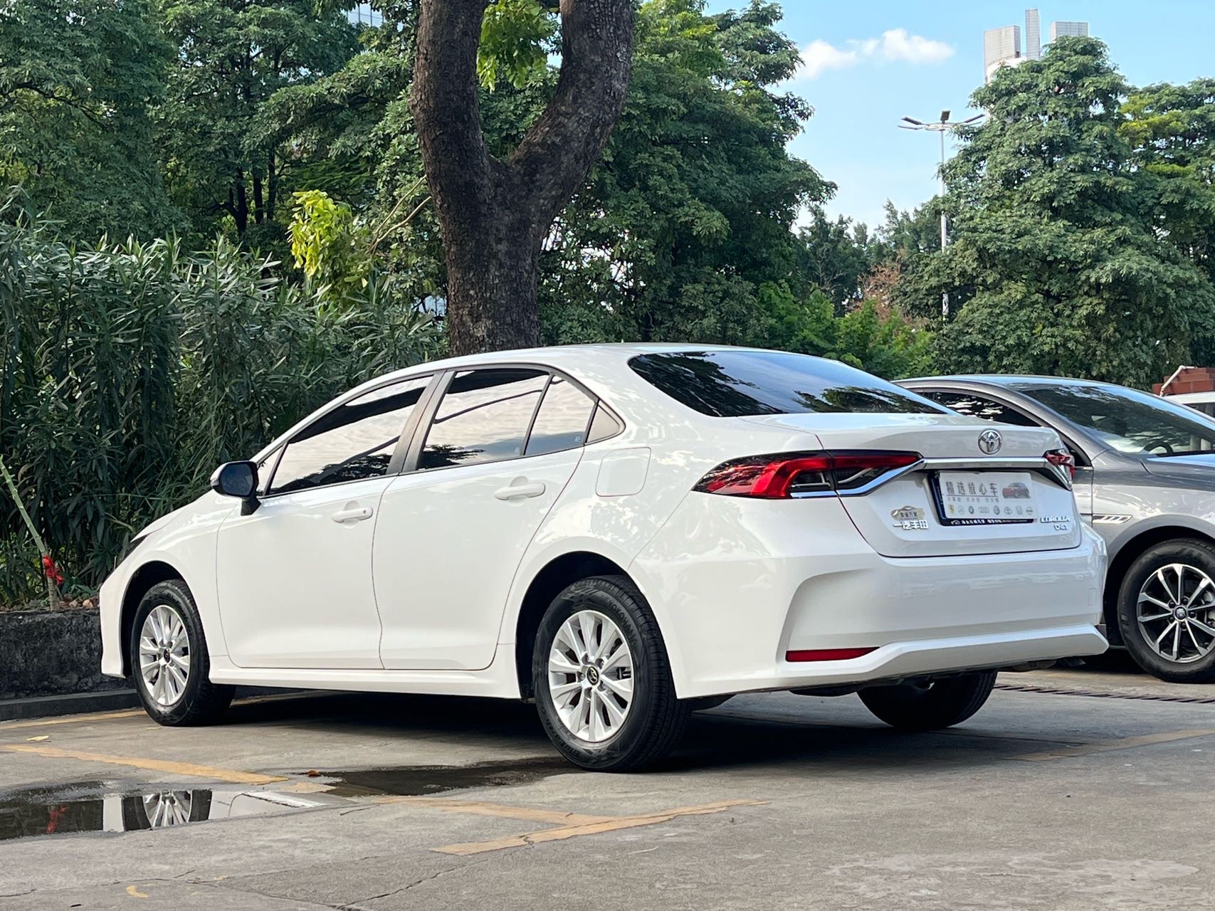 Toyota Corolla 2023 #9 Toyota Corolla 2023 صورة سيارة #9