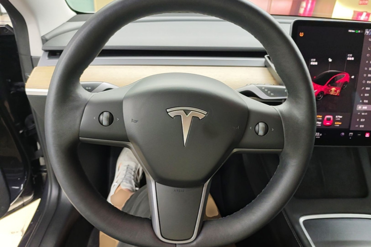 Tesla Model 3 2021 #11 Tesla Model 3 2021 car image #11