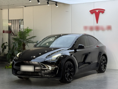 Tesla Model Y 2023 car image 