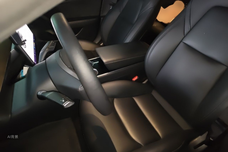 Tesla Model 3 2020 immagine di auto #17