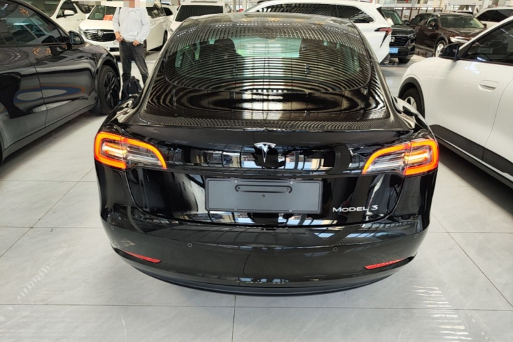 Tesla Model 3 2022 car image #4