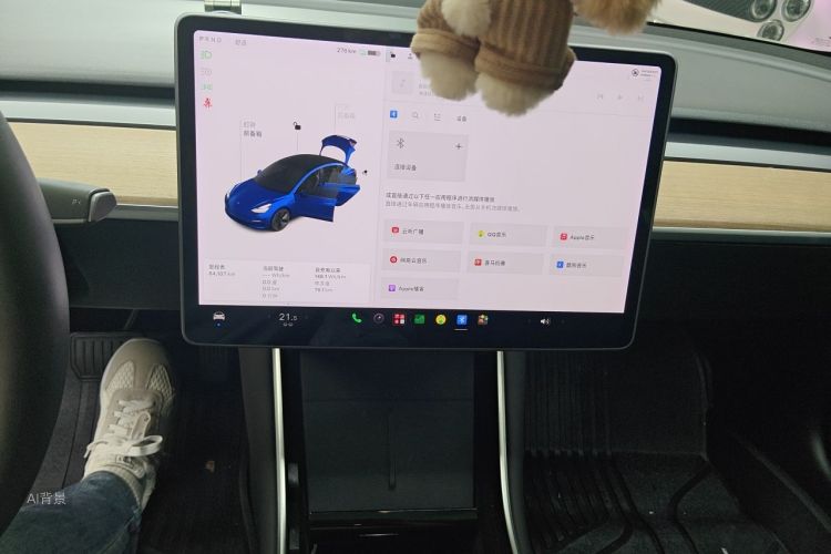 Tesla Model 3 2020 car image #15