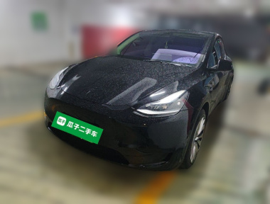 Tesla Model Y 2022 Tesla Model Y 2022 car image