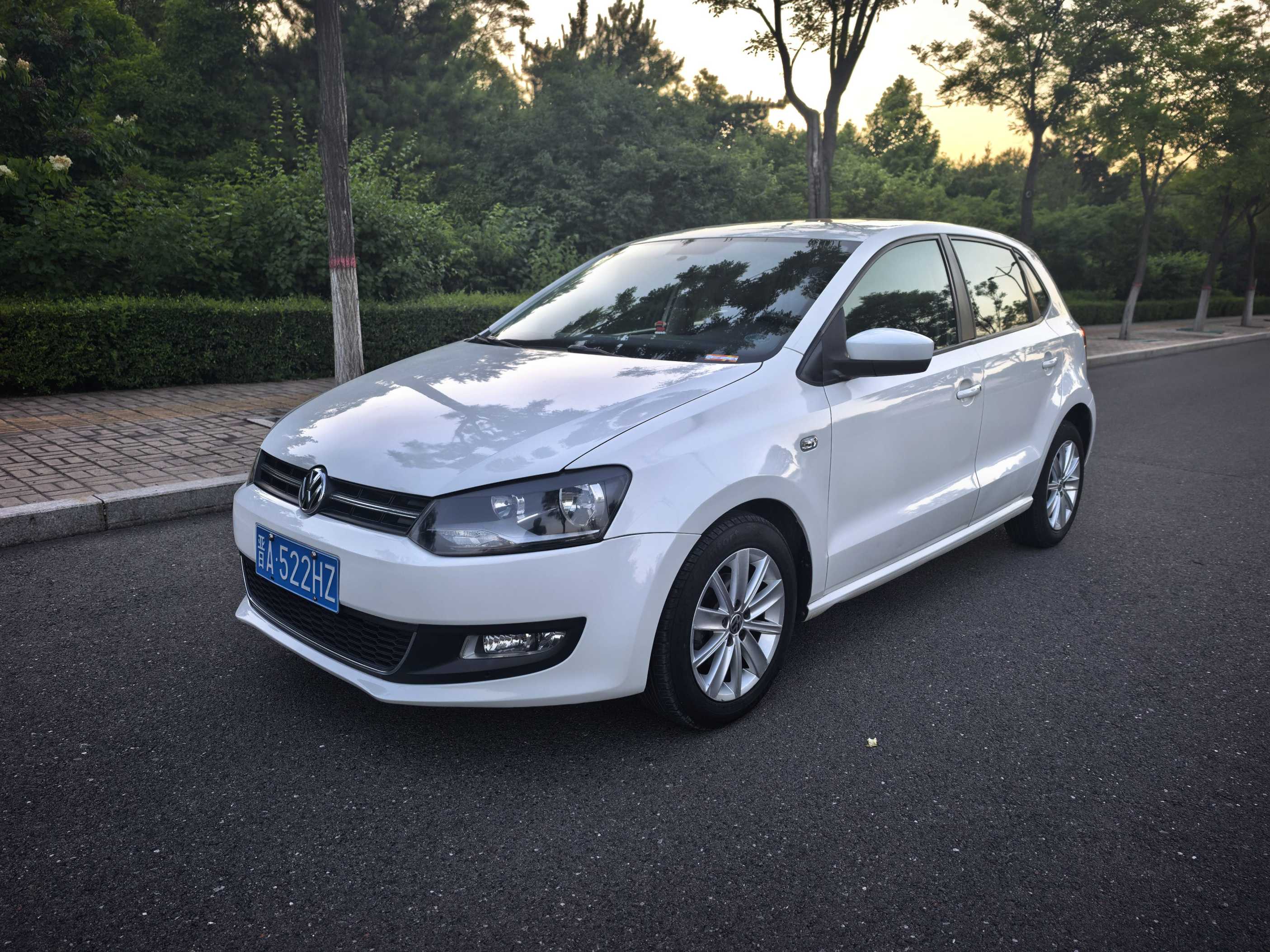 Volkswagen Polo 2013 car image 