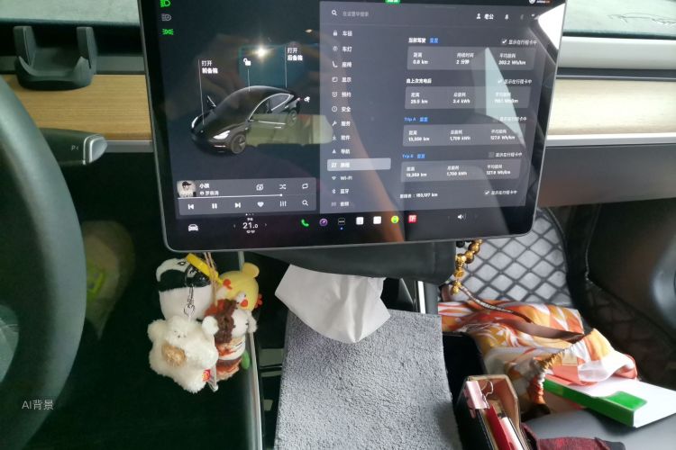 Tesla Model 3 2020 car image #15