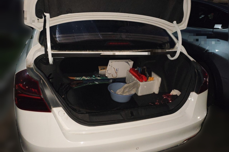 GEELY Emgrand 2020 car image #17