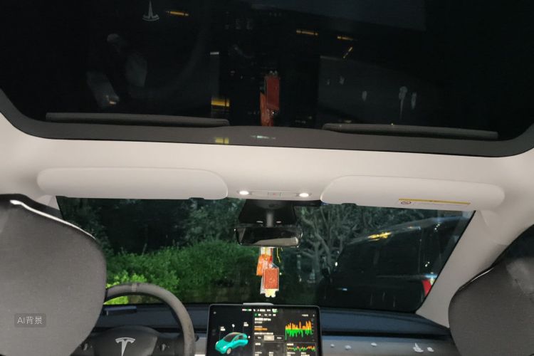 Tesla Model Y 2021 #20 Tesla Model Y 2021 car image #20