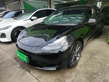 Tesla Model 3 2021 Tesla Model 3 2021 car image