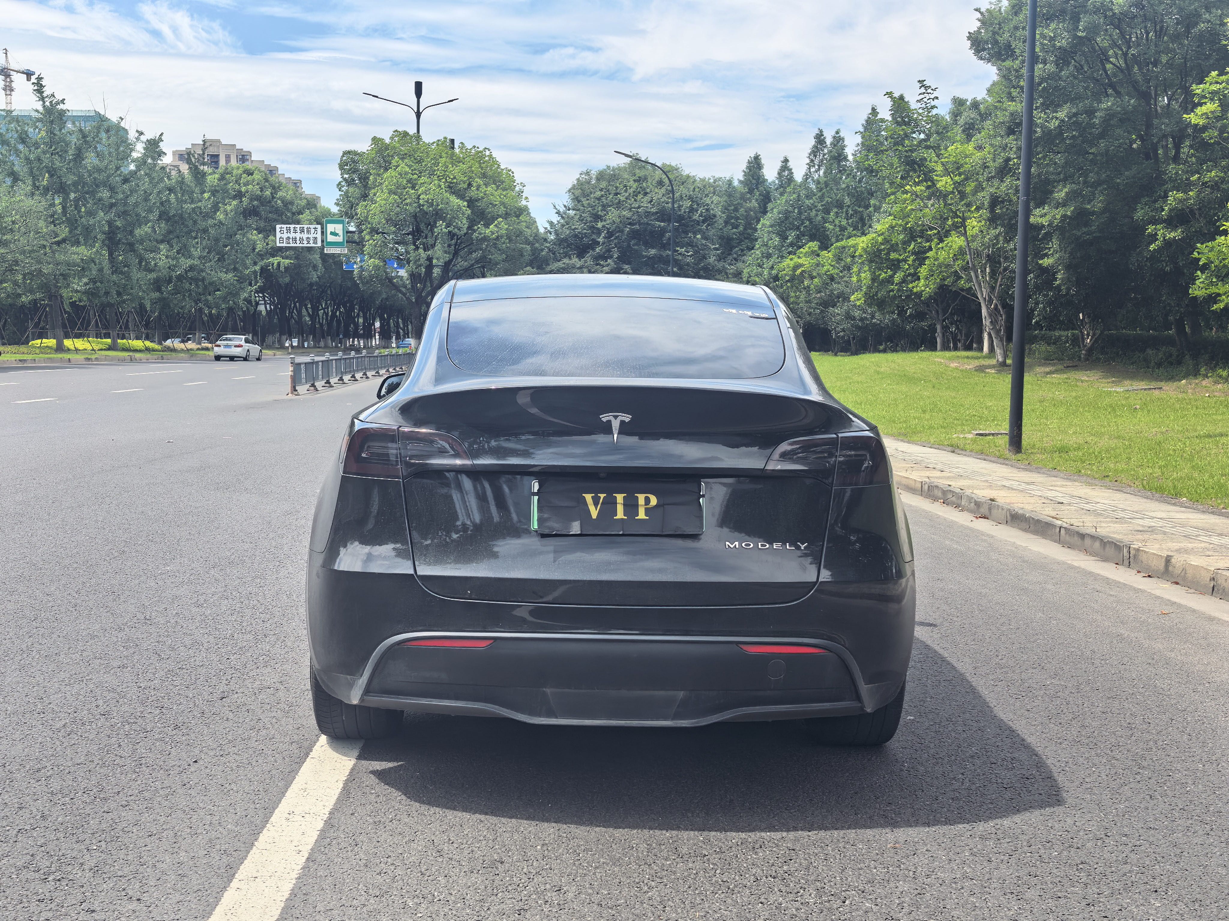 Tesla Model Y 2021 car image #8