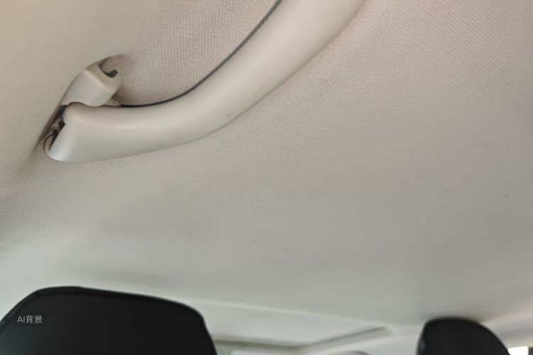Volkswagen Polo 2018 car image #20