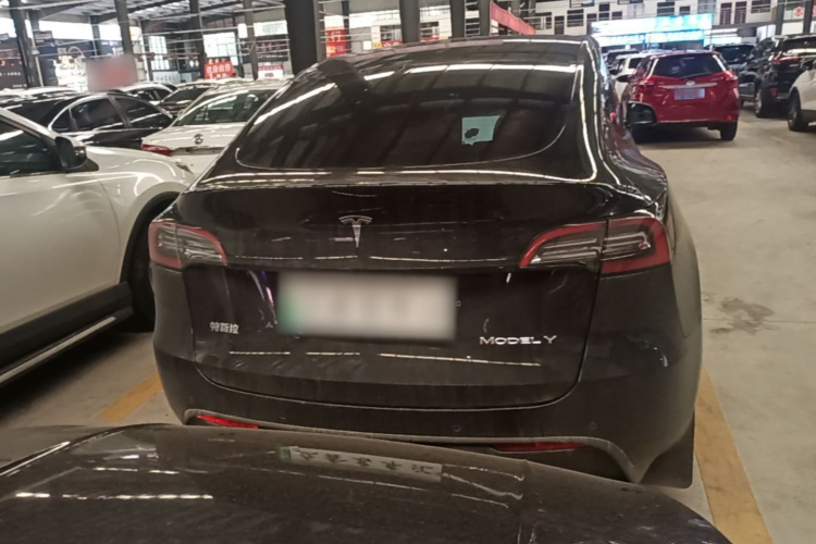 Tesla Model Y 2023 #6 Tesla Model Y 2023 car image #6