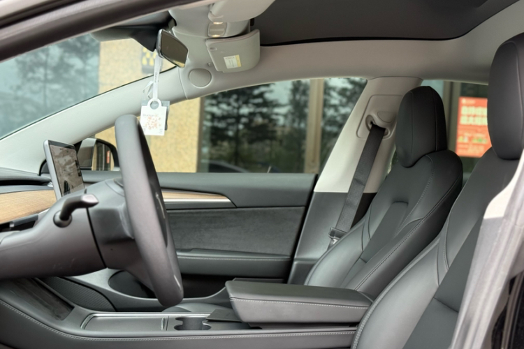 Tesla Model 3 2021 immagine di auto #11