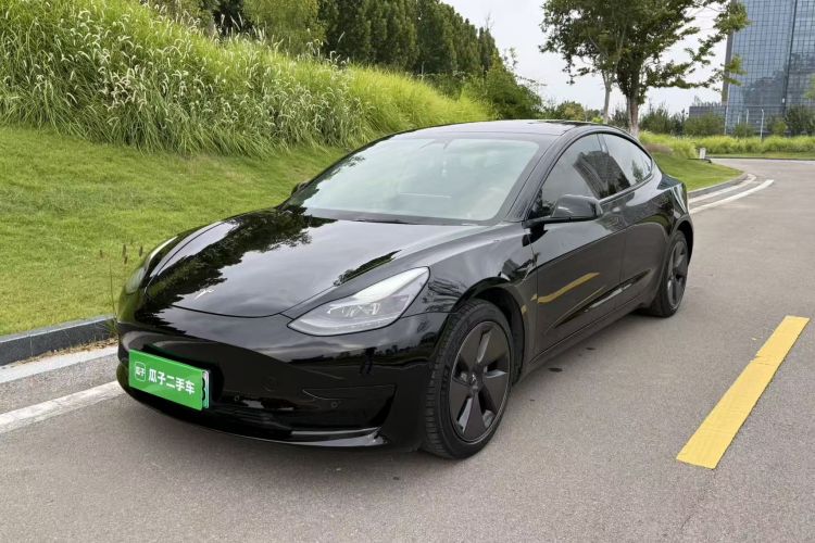Tesla Model 3 2021 #2 Tesla Model 3 2021 car image #2