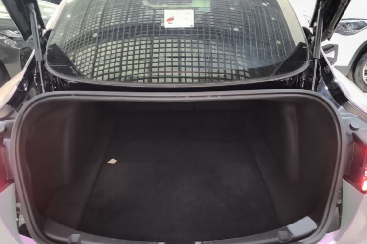 Tesla Model 3 2020 #19 Tesla Model 3 2020 car image #19