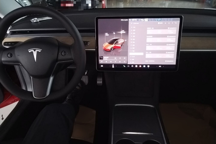 Tesla Model 3 2022 car image #10