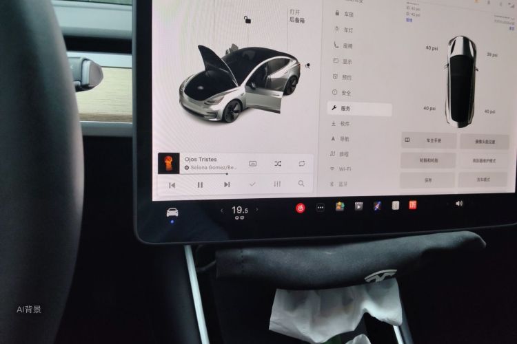 Tesla Model 3 2020 car image #13
