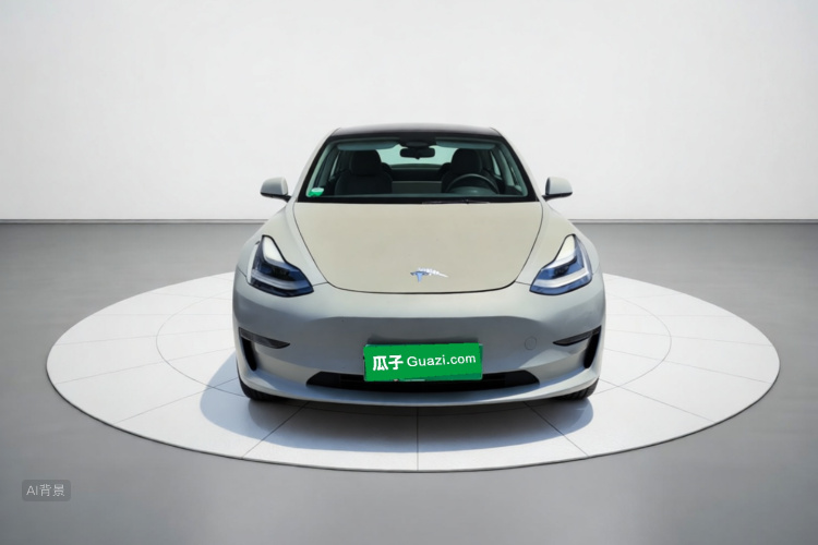 Tesla Model 3 2021 #3 Tesla Model 3 2021 car image #3
